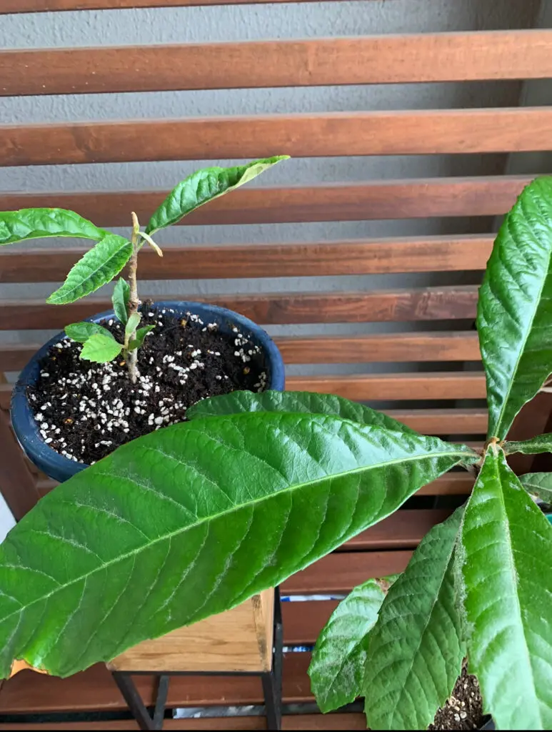 砂療法の威力をリアルに感じた『suna pool』 | sunalab.