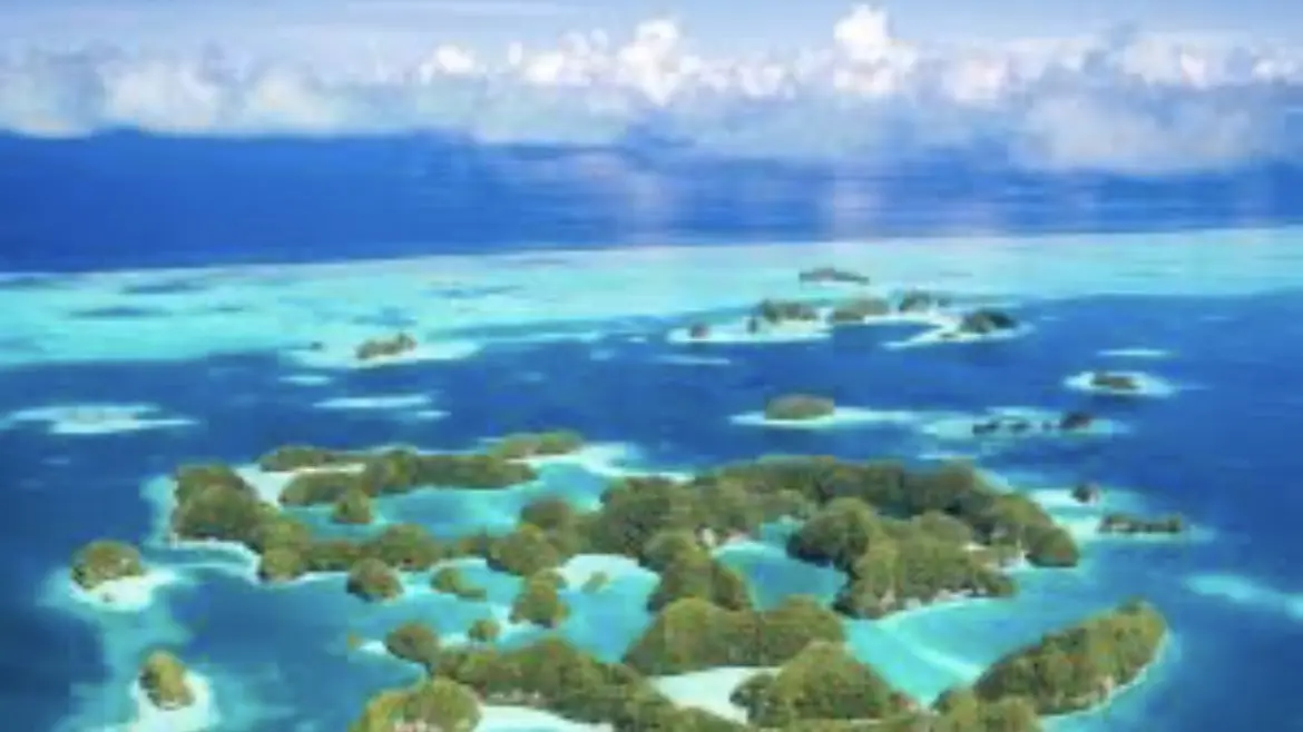 sunalab. | 看護師がハンドメイドする癒しの『ホワイトサンド